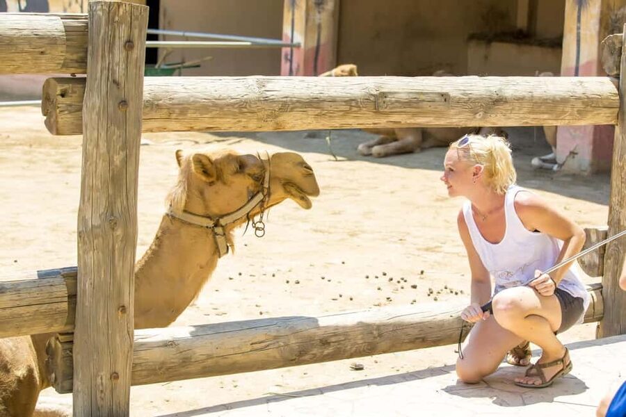 Hurghada: Mega Jeep safari, ATV & Bedouin vibe, and Dinner - Sunset Views and Dinner: BBQ With Tanoura and a Fire Show
