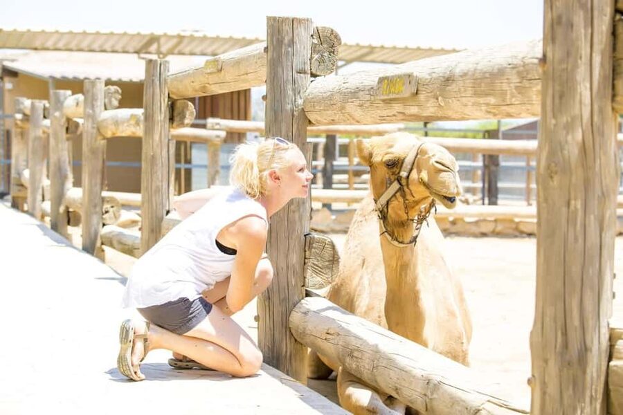Hurghada: Mega Jeep safari, ATV & Bedouin vibe, and Dinner - Price and Logistics: Is $34 Good Value?