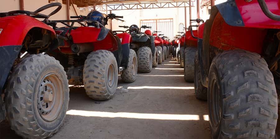 Hurghada: Morning Quad Bike Tour, Camel Ride and Transfer - Who this quad bike and camel ride works best for