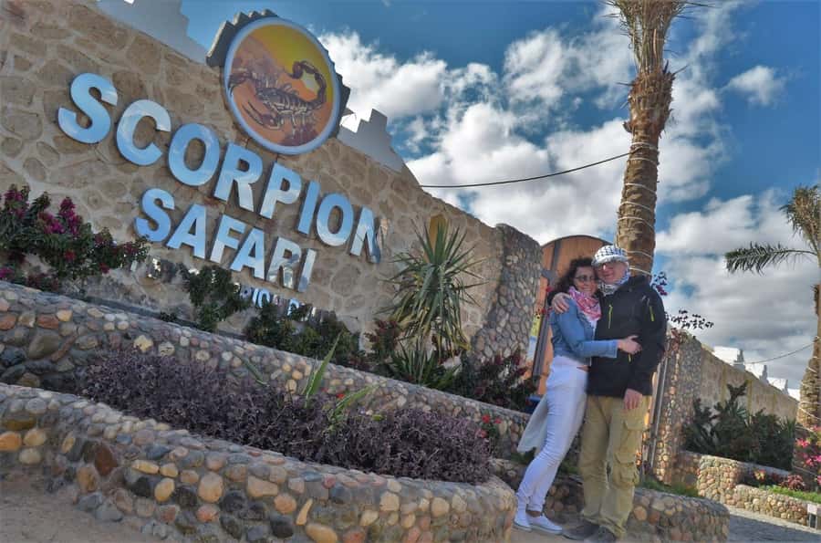 Hurghada: Quad and Buggy Safari with Dinner and Show - Quad Bike Time: 30 Minutes of Thrill (and Real Instructions)