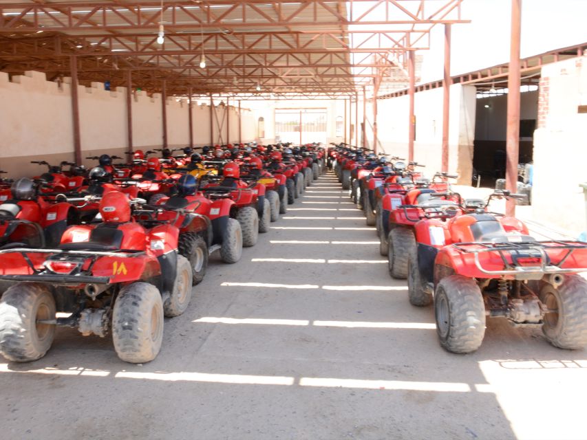 Hurghada Quad & ATV Ride with Camel, Desert Vibes & Sea View - The Desert Camp Option: Dinner, Live Show, and Stargazing