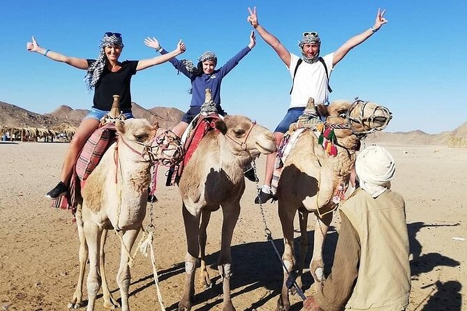 Hurghada Safari Trip Quad, Buggy, Jeep, Camel, Dinner, and Show - Key Things That Make This Hurghada Safari Work