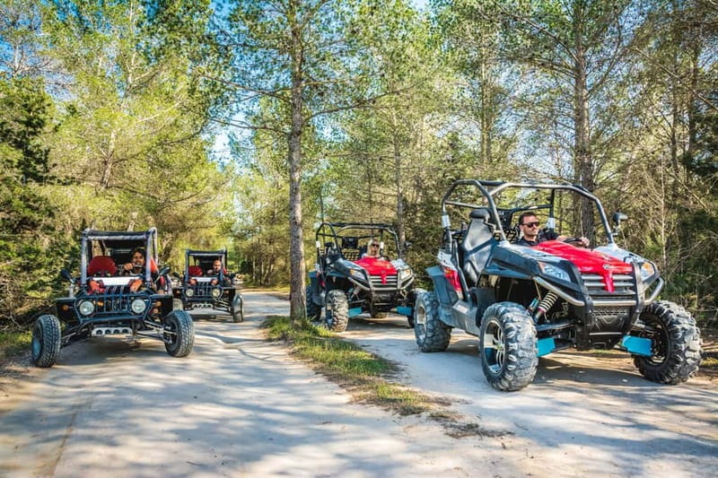 Ibiza: Buggy Sightseeing Excursion - Who should book this buggy excursion, and who should skip it