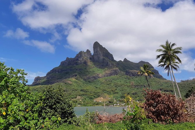 Island Tour & Getaway on the Bora Bora Mountains by Quad / ATV - What you actually do on the quad: training, mixed driving, and 4-wheel drive moments