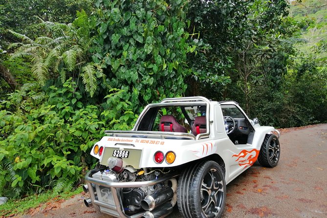 Island tour with the beach buggy - Key Things That Make This Buggy Tour Worth It