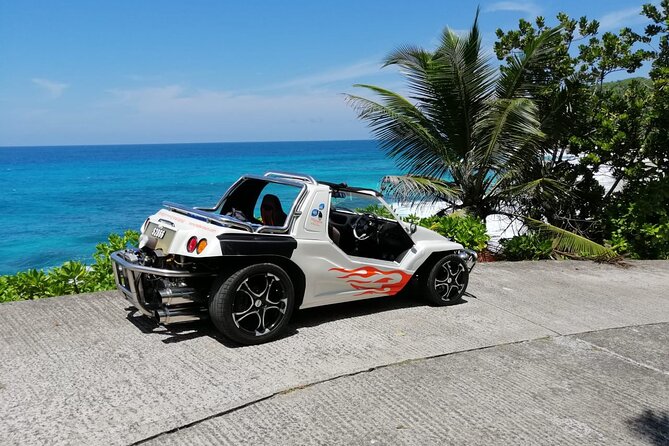 Island tour with the beach buggy - Stop 4: Takamaka Rum Distillery, Tasting Plus Tortoisey Garden Time
