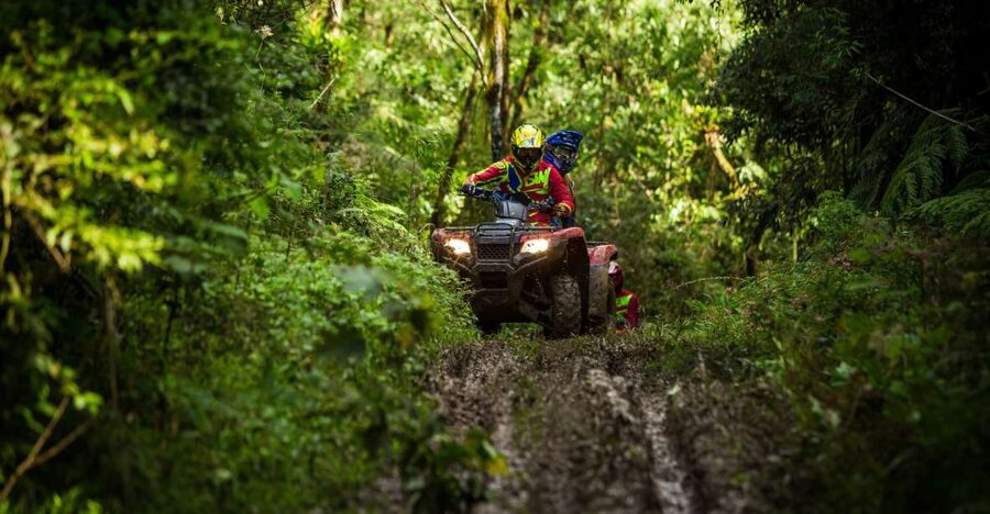 Istanbul: Belgrad Forest ATV Tour with Ziplining Option - Key Points If You’re Short on Time