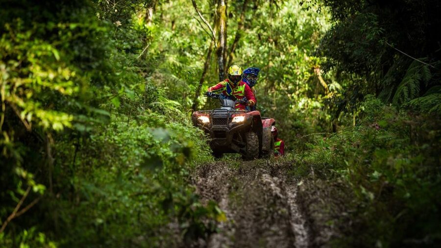 Istanbul: Belgrad Forest ATV Tour with Ziplining Option - The 30-Minute Ride: A Useful Reset Before the Off-Road Part