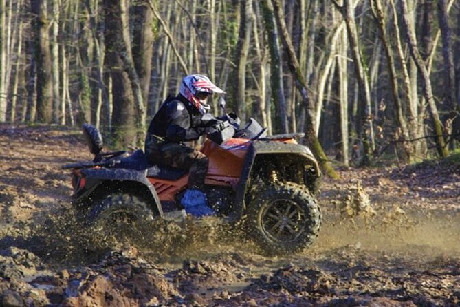 Istanbul Quad Bike Safari with Optional Zipline Experience - Meeting point and transport: how to handle the 30-minute forest gap