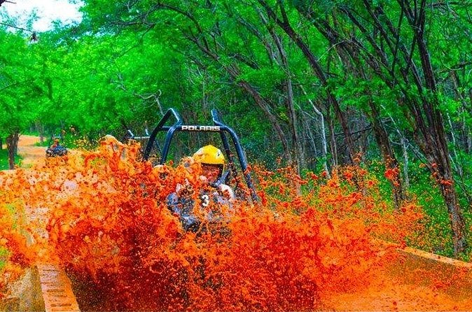 Jamwest ATV Off-Road Adventure & Zipline Combo in Negril - Who should book, and who should pass?