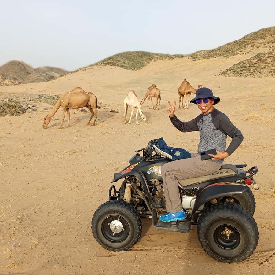 Jeddah Desert Safari: Quad Biking, Camel Farm & Sunset Views - Tea Break and the Return to Jeddah: Finishing Strong