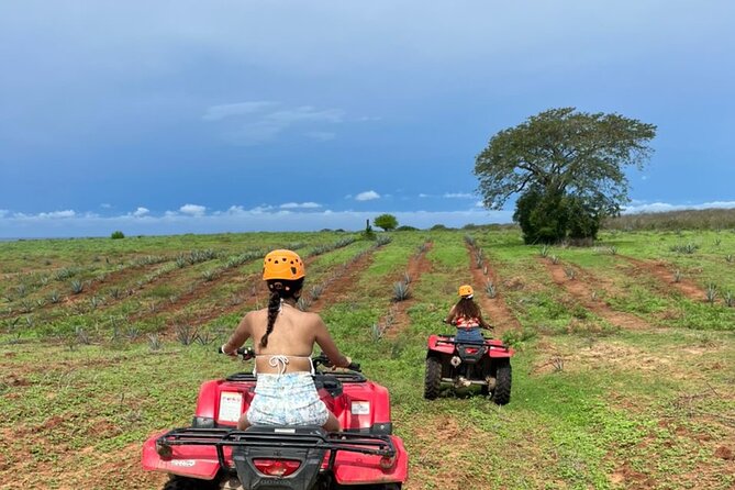 Jungle and beach ATV tour + lunch + tequila tasting - Tequila Production and Tasting: The Part Most Visitors Miss