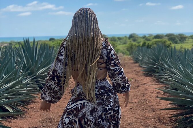Jungle and beach ATV tour + lunch + tequila tasting - Who This Tour Fits Best (and Who Might Want Something Else)