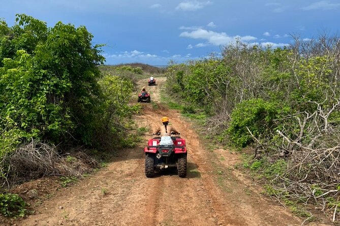 Jungle and beach ATV tour + lunch + tequila tasting - Getting to the Ranch: What Happens Before You Ride