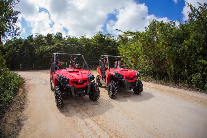 Jungle Buggy Tour from Playa del Carmen Including Cenote Swim - Driving the Riviera Maya Forest: The Can-Am Buggy Experience