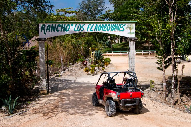 Jungle Buggy Tour from Playa del Carmen Including Cenote Swim - What’s Included (and What Isn’t): The Real Value Math