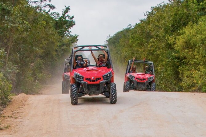 Jungle Buggy Tour from Playa del Carmen Including Cenote Swim - Price and Logistics: Is $110.29 Worth It?