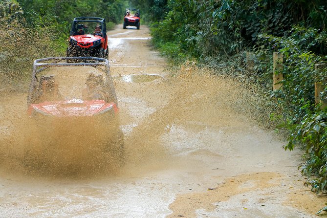 Jungle Buggy Tour from Playa del Carmen Including Cenote Swim - Should You Book This Jungle Buggy + Cenote Swim?