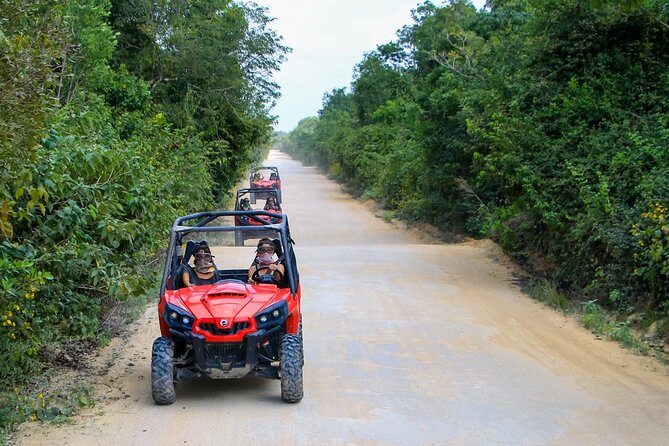 Jungle Buggy Tour from Playa del Carmen Including Cenote Swim - Cenote Cave Swim and Snorkel: Why This Stop Feels Worth It