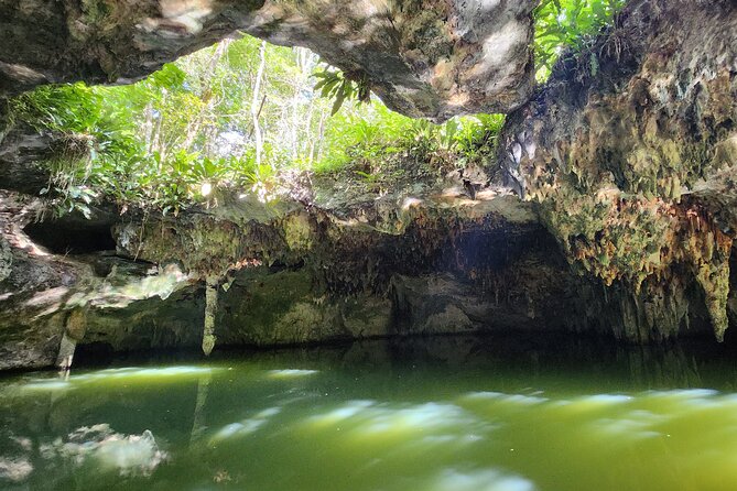 Jungle, Caverns and Tequila Mayan ATV Experience - Jungle, Caverns and Tequila ATV in Cozumel: The Big Picture
