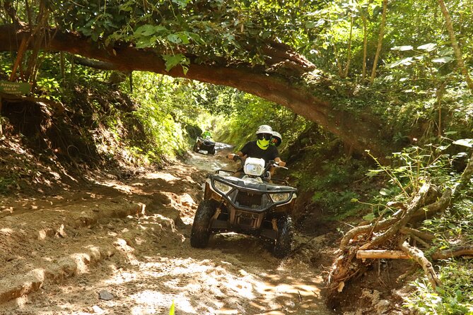 Jungle double ATV Tour "El Mirador" (ride tandem on ATV) - Stop 1: Rancho El Jaguar and the Sierra Madre Views
