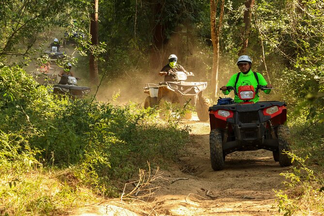 Jungle Single ATV Tour "El Mirador" - On the trails: bumpy jungle fun, dust, cows, and dry riverbed thrills