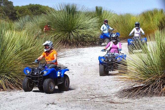Kangaroo Island Quad Bike (ATV) Tours - Wildlife Notes You’ll Actually Remember (Including Yakkas)