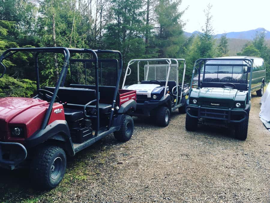 Ketchikan: Tongass Forest Alaska Bigfoot ATV Ride and Hike - The Rainforest Hike: Moss, Stairs, Bridges, and Real Trail Work