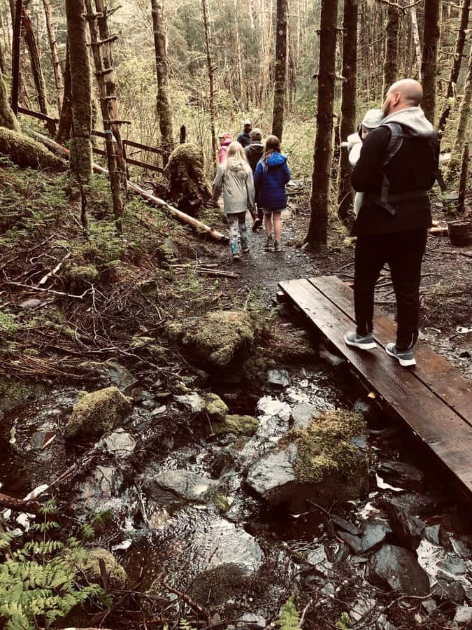Ketchikan: Tongass Forest Alaska Bigfoot ATV Ride and Hike - ATV Ride to the Trailhead: Fun, but Keep Expectations Honest
