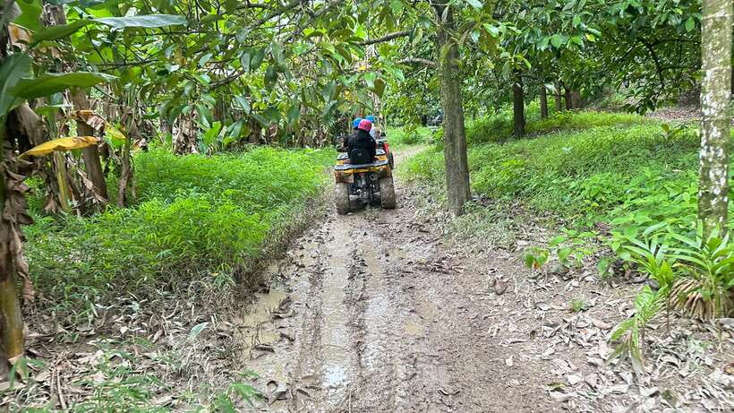 Khao Lak: ATV Park Quad-Bike Tour - The 300-acre fruit garden stop: where the tour turns calmer