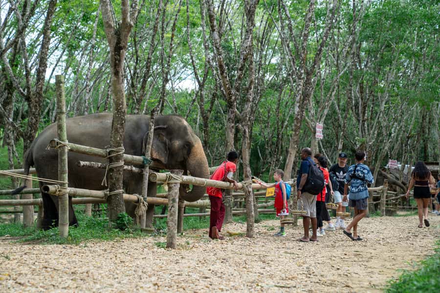 Khao Lak Multi-Adventure: Bamboo Rafting, ATV & Elephants - FAQ