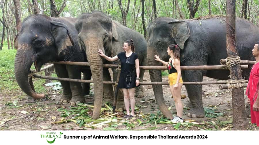 Khao Lak Wild ATV Quad Bike & Gentle Giants Experience - Khao Lak pickup to elephant care: how the day starts
