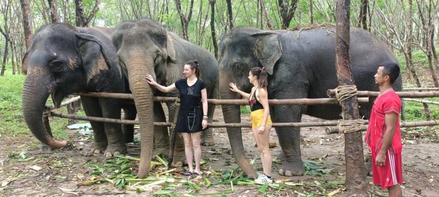 Khao Lak Wild ATV Quad Bike & Gentle Giants Experience - Food, time, and the 150-minute reality
