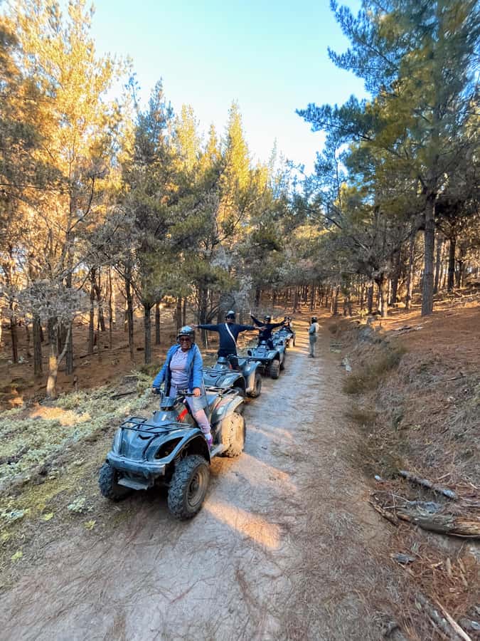 Knysna: Guided Quad Bike Tour in the Forest - The 1-Hour Quad Bike Ride: 12–15 km Through Pine and Indigenous Forest