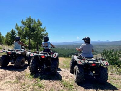 Knysna: Guided Quad Bike Tour in the Forest - The 20-Minute Coach Transfer: Part Travel, Part Warm-Up