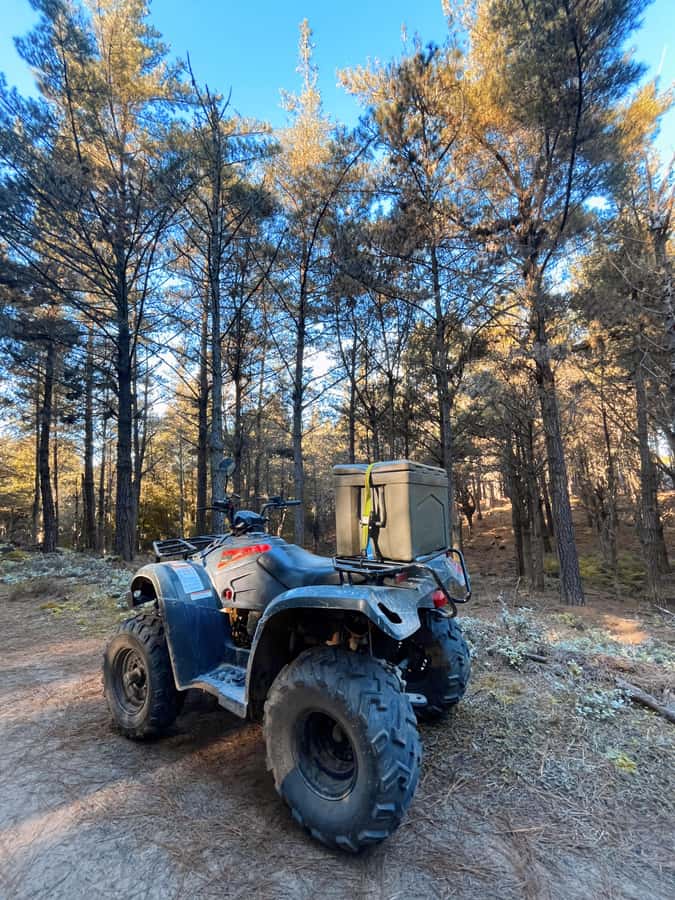 Knysna: Guided Quad Bike Tour in the Forest - Quad Bike Basics: Passenger Rules and Weight Limits