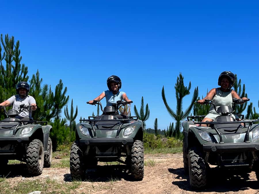 Knysna: Guided Quad Bike Tour in the Forest - Who This Ride Is For (and Who Should Skip It)