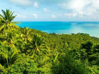 Koh Samui: Jungle, Mountains and Waterfalls ATV Tour - Pickup From Your Hotel and Arrival in Lamai: How the Day Gets Organized