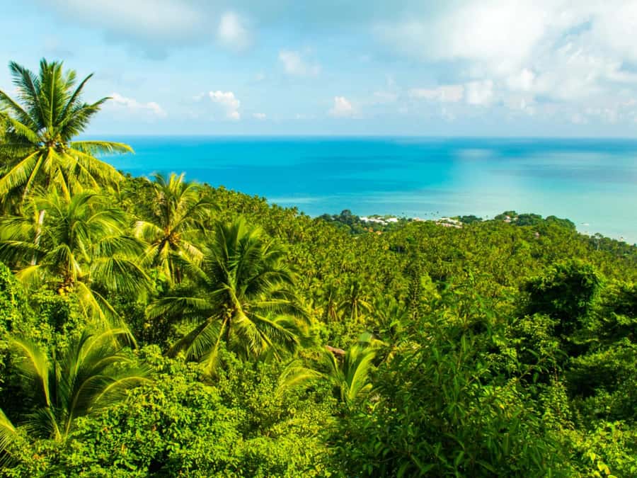 Koh Samui: Jungle, Mountains and Waterfalls ATV Tour - Pickup From Your Hotel and Arrival in Lamai: How the Day Gets Organized