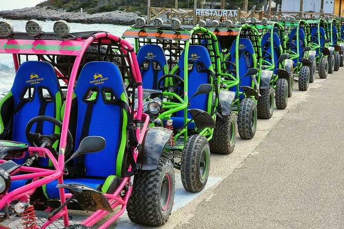Korcula Buggy (Official) Safari Tour -Local Food & Wine Tasting- - What this Korčula buggy tour really delivers
