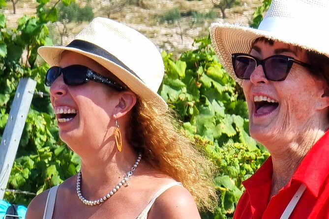 Korcula Buggy (Official) Safari Tour -Local Food & Wine Tasting- - Vineyards, WWII monuments, and the Grk focus