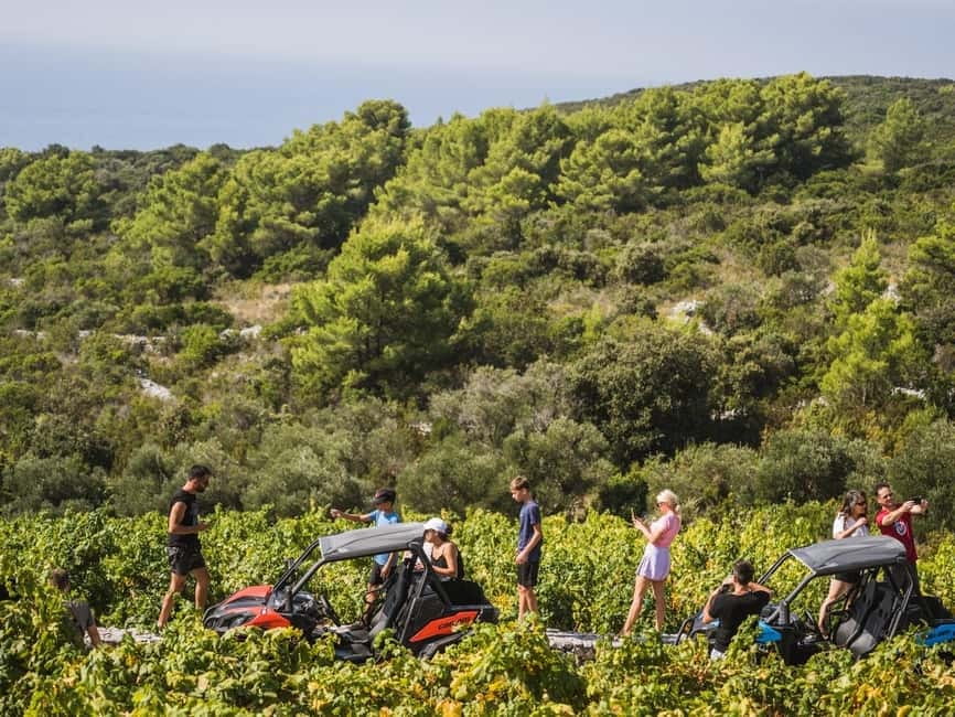 Korcula Buggy Safari With Wine Tasting - Korčula Viewpoints and a Short Guided Look Around Town