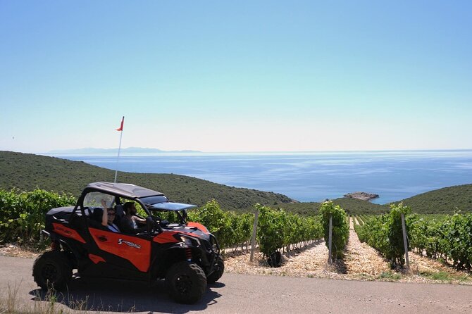 Korcula Island Private Buggy Beach Hunting Safari with lunch - What you’ll do: driving, bays, wine, and lunch