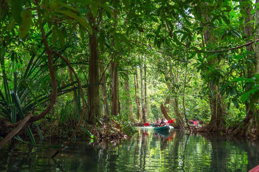 Krabi: Half-Day Blue Lagoon Kayaking at Klong Srakaew & ATV - The Klong Srakaew Underwater Cave (200 Meters): What You’re Really Seeing