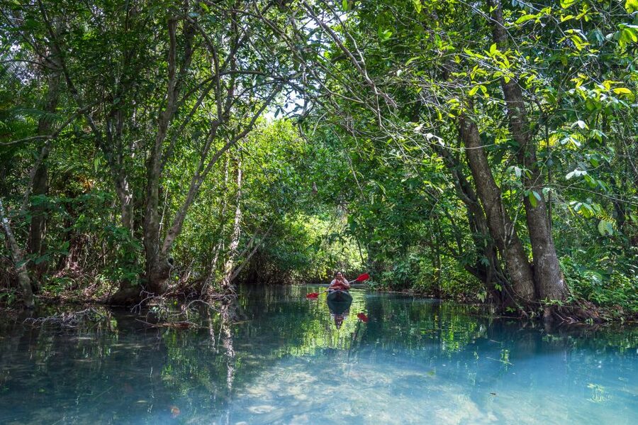 Krabi: Half-Day Blue Lagoon Kayaking at Klong Srakaew & ATV - Price and Value: Is $89 Worth It for This Mix?