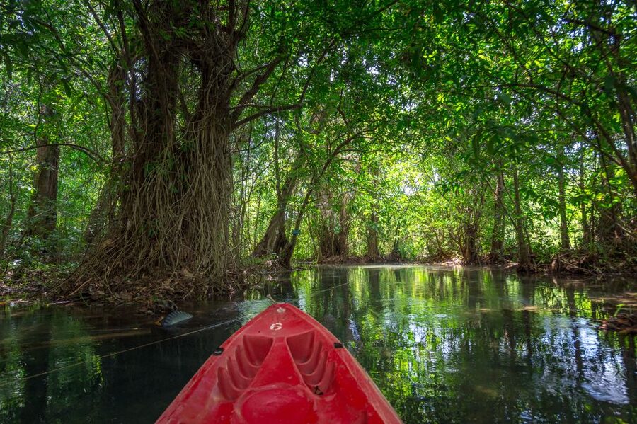 Krabi: Half-Day Blue Lagoon Kayaking at Klong Srakaew & ATV - Getting Ready: What to Pack (and What Not to Bring)