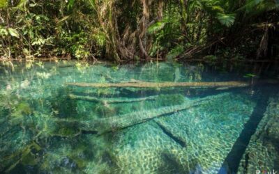 Krabi: Khlong Nam Sai Lagoon with Kayaking & Optional ATV - From Ao Nang pickup to the lagoon launch: what your 210 minutes really includes