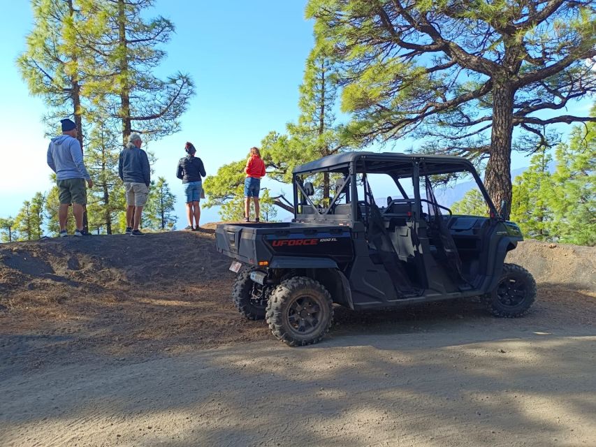 La Palma: Volcano Route Buggy Tour (Price Per Vehicle) 2 PAX - Buggies, Guides, and Small Group Size: How the Day Actually Feels