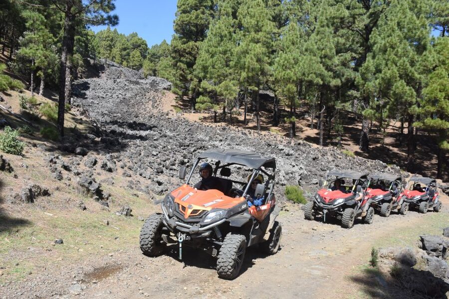 La Palma: Volcano Route Buggy Tour (Price Per Vehicle) 2 PAX - Price and Value: Is $234 per Person Worth It?