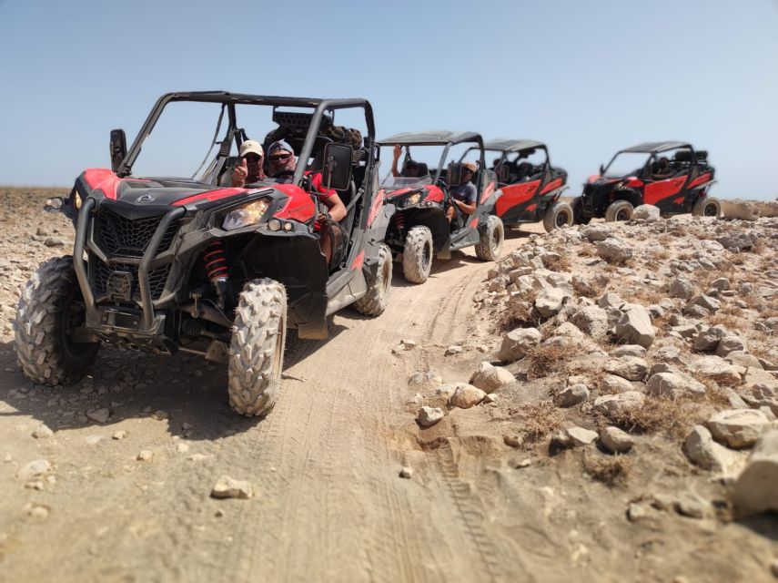 Lanzarote: Guided Can-Am Trail Buggy Tour - Key points before you go